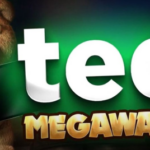 Ted Megaways