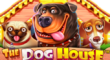 The Dog House